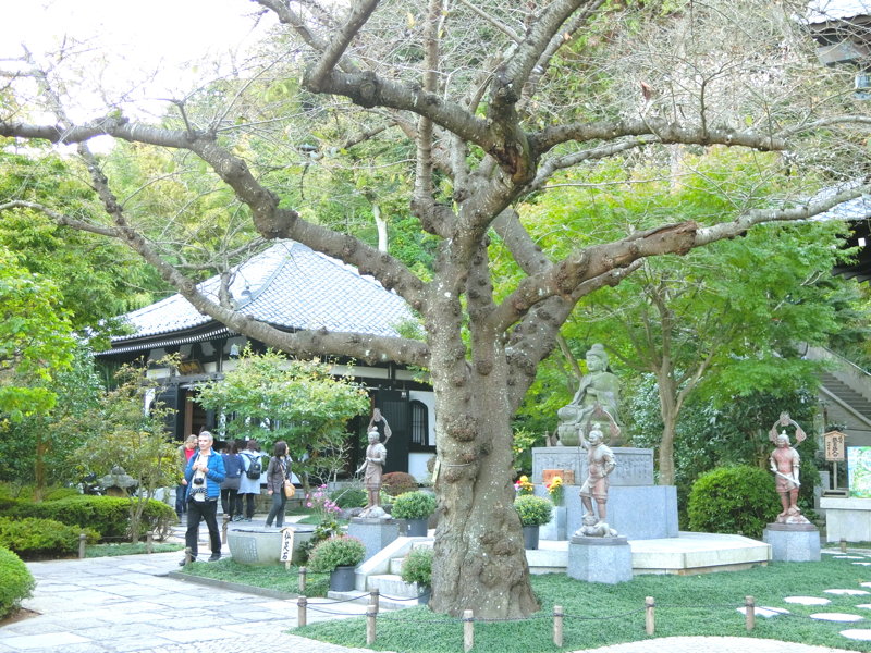 CIMG0393.JPG