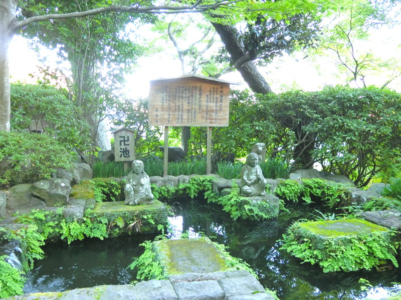 CIMG0396.JPG
