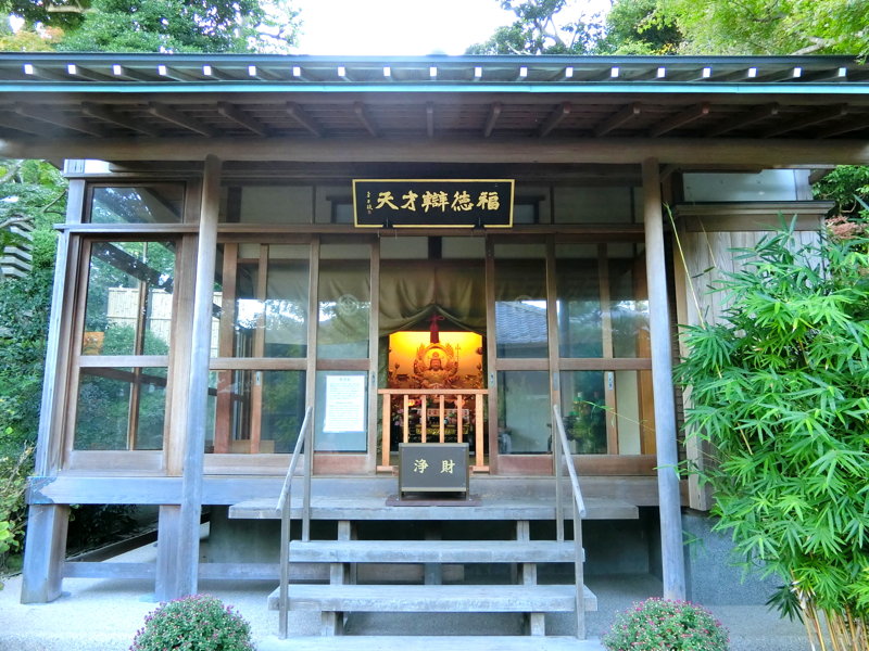 CIMG0402.JPG