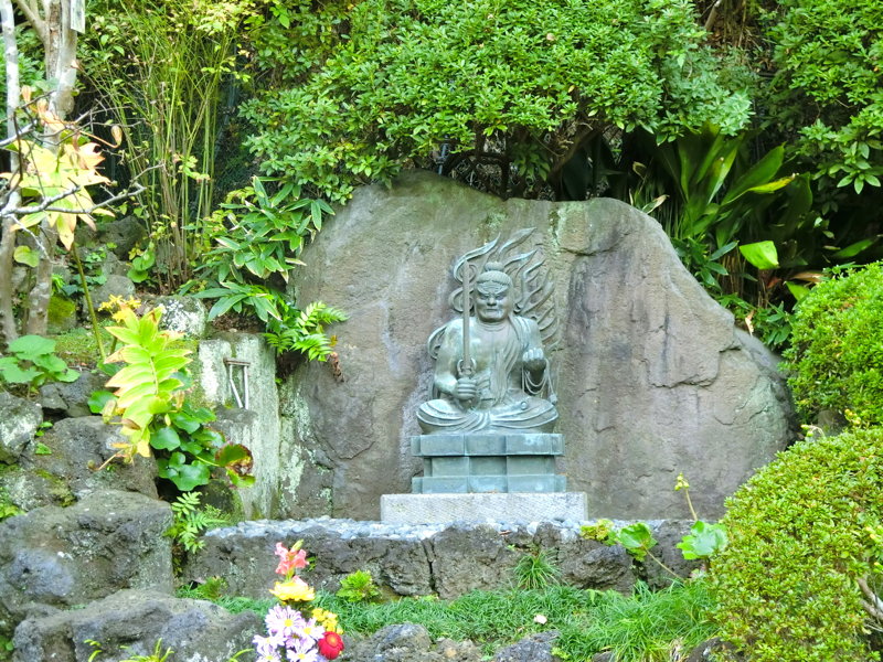 CIMG0406.JPG