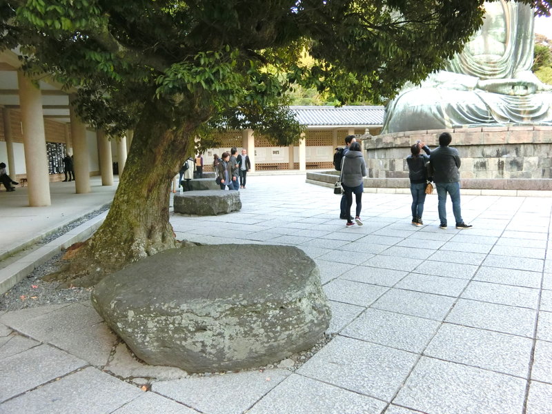 CIMG0421.JPG