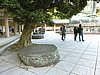 CIMG0421.JPG