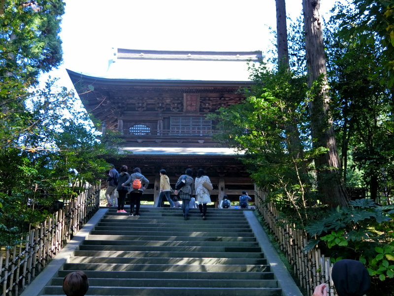 CIMG0443.JPG