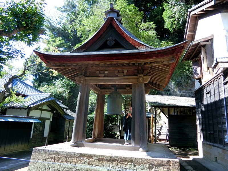 CIMG0459.JPG