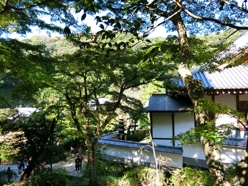 CIMG0466.JPG