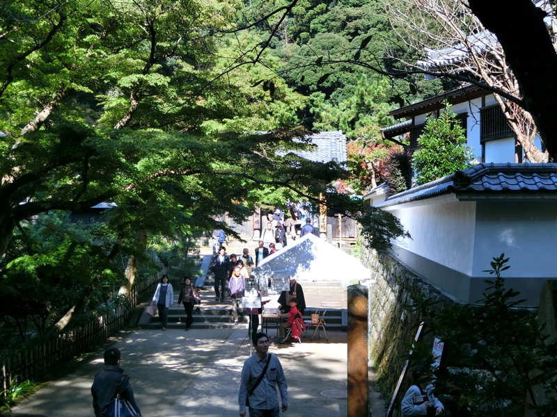 CIMG0469.JPG
