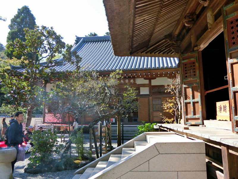 CIMG0472.JPG
