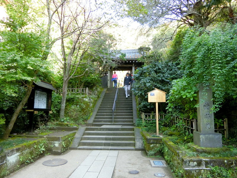 CIMG0474.JPG