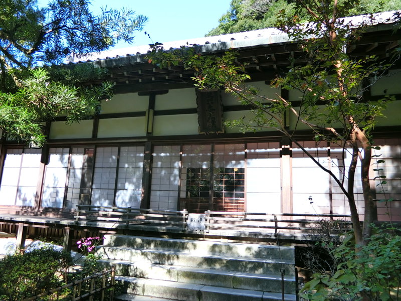 CIMG0476.JPG