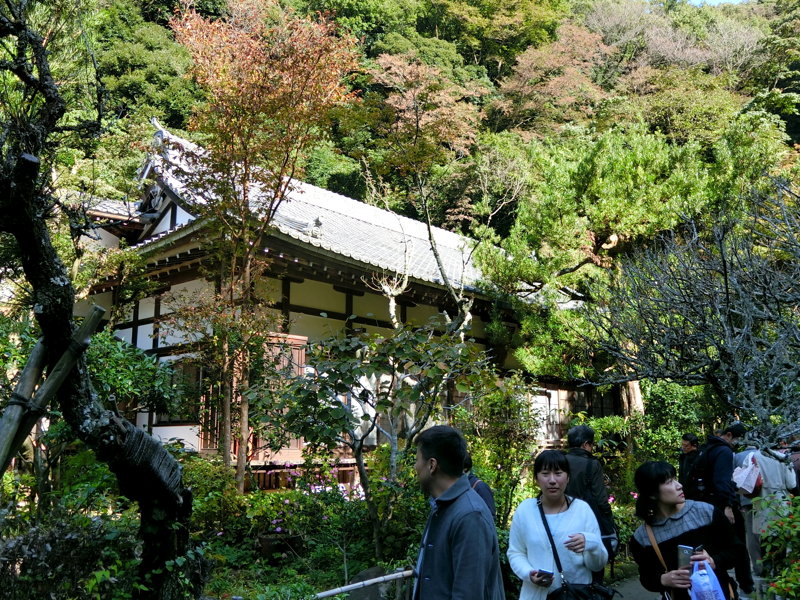 CIMG0477.JPG