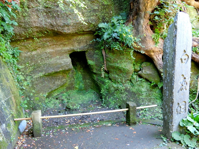 CIMG0480.JPG