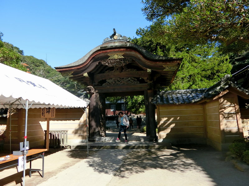 CIMG0487.JPG