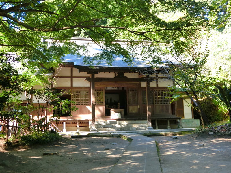 CIMG0490.JPG