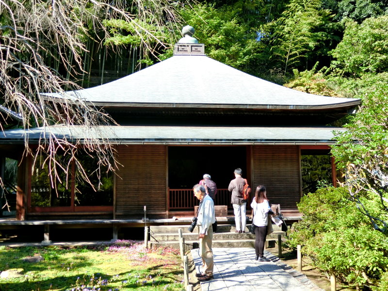 CIMG0496.JPG