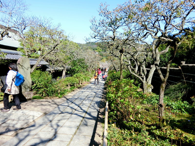 CIMG0499.JPG