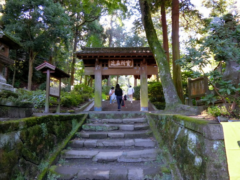 CIMG0503.JPG