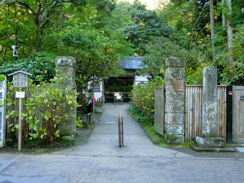 CIMG0515.JPG