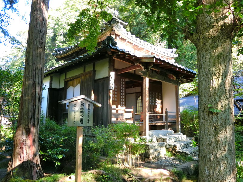 CIMG0518.JPG
