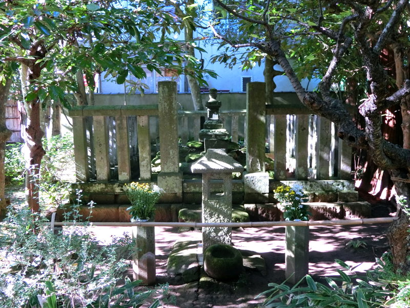 CIMG0520.JPG