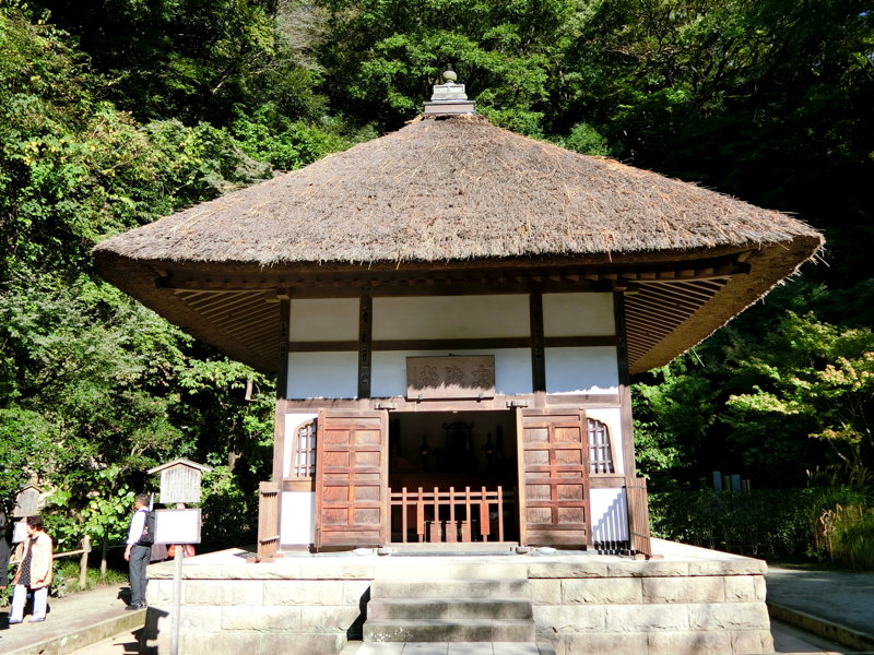 CIMG0525.JPG