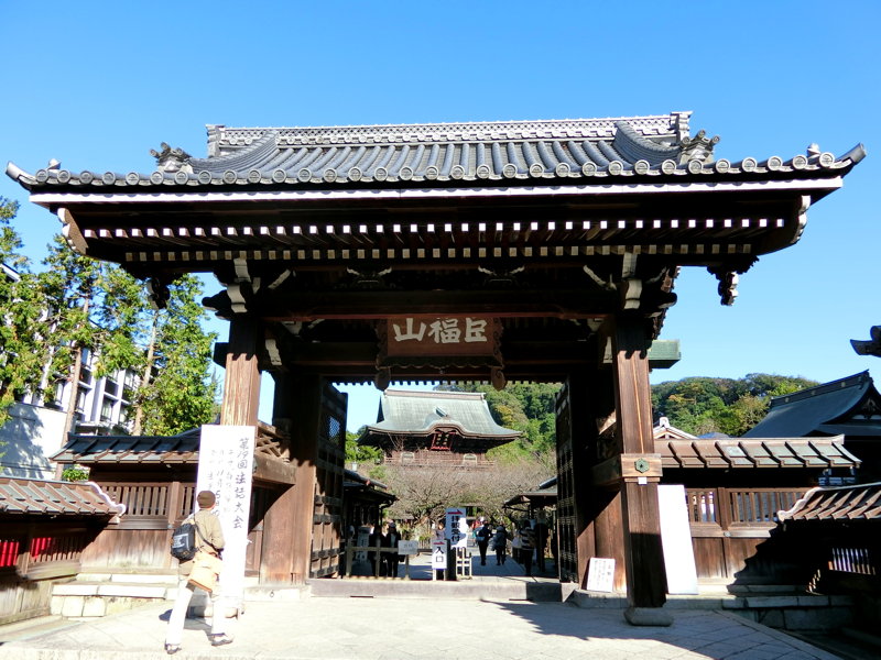 CIMG0538.JPG