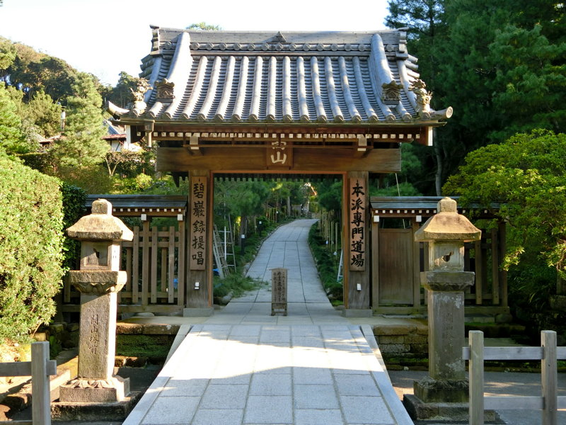 CIMG0548.JPG