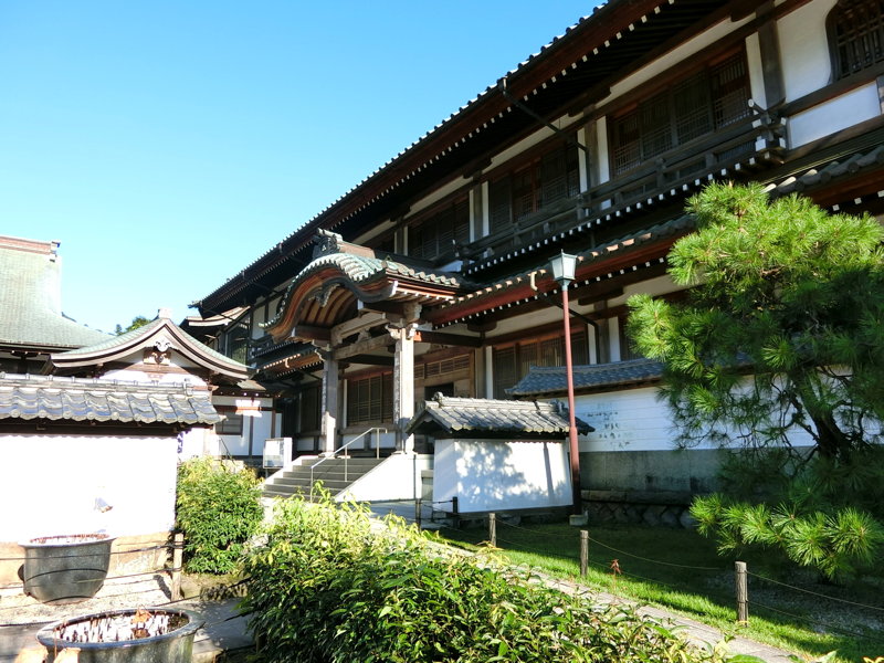 CIMG0556.JPG