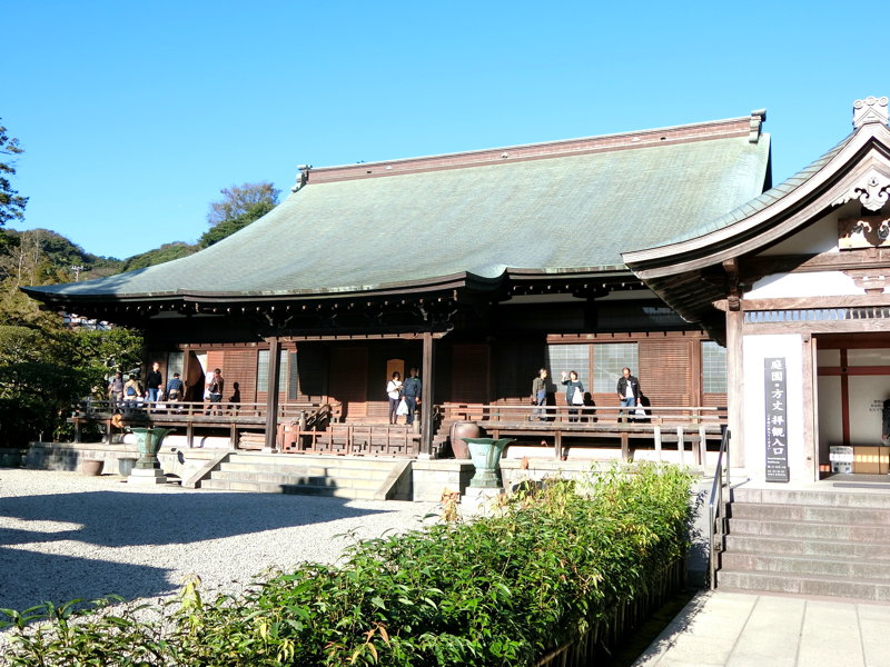 CIMG0557.JPG