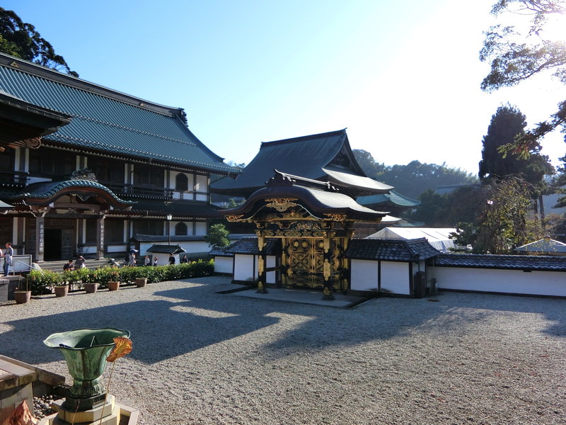 CIMG0560.JPG