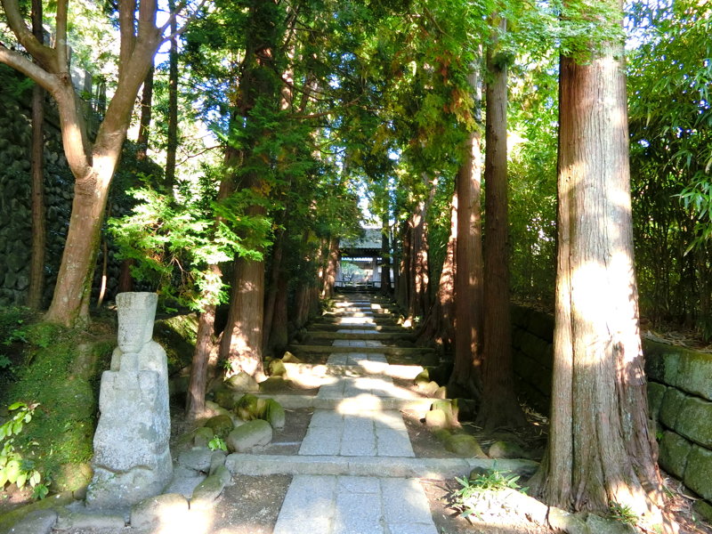 CIMG0564.JPG