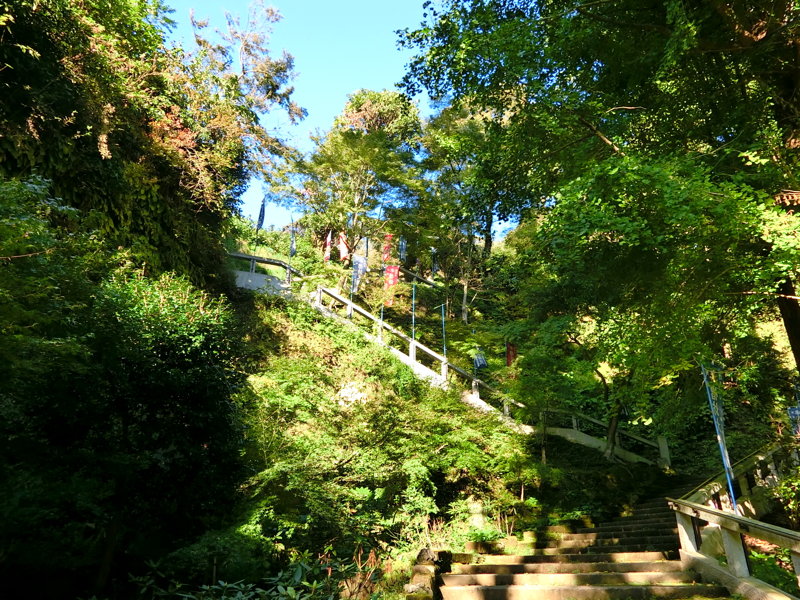 CIMG0566.JPG