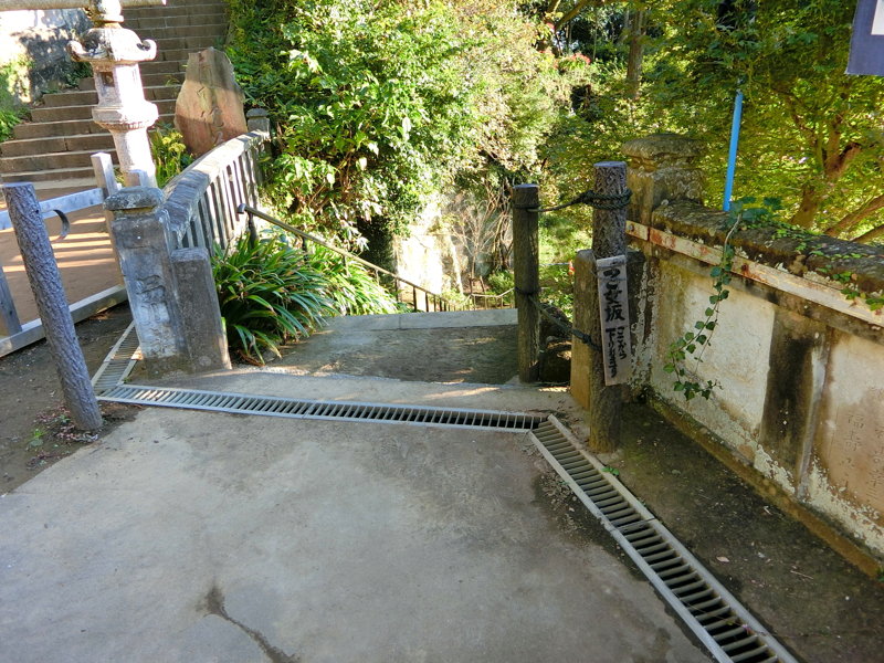 CIMG0574.JPG