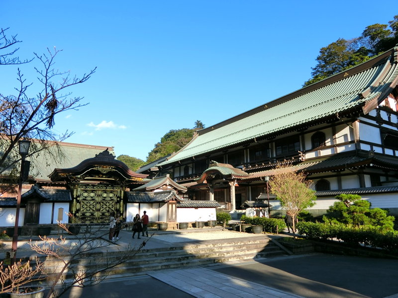 CIMG0576.JPG