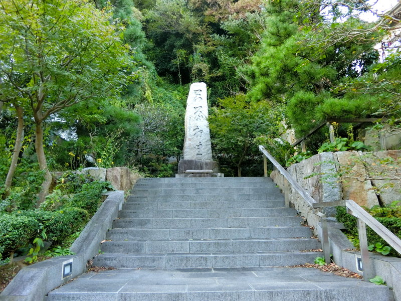 CIMG0584.JPG