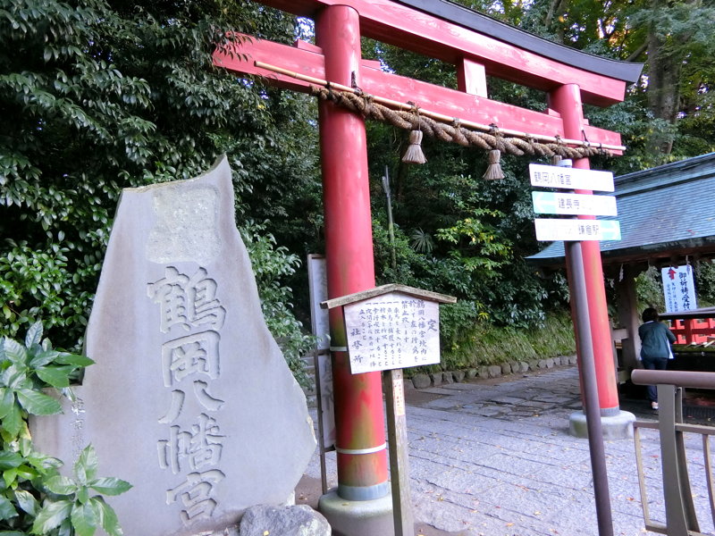 CIMG0586.JPG