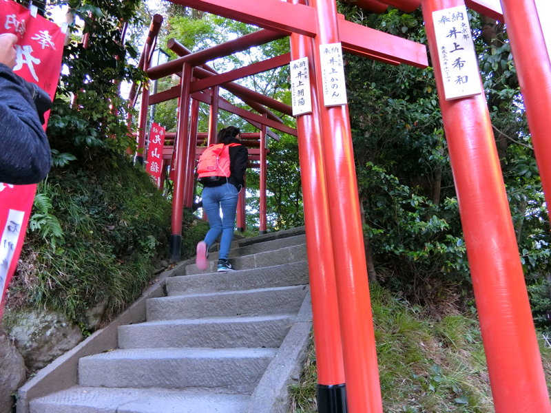 CIMG0587.JPG
