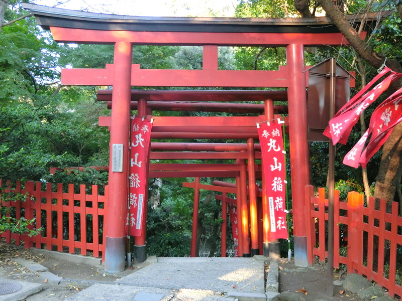 CIMG0589.JPG