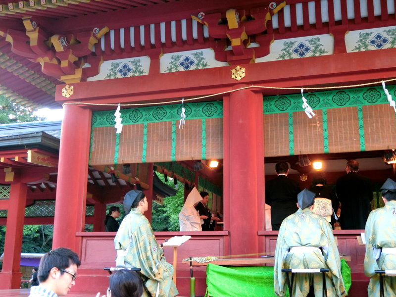 CIMG0594.JPG