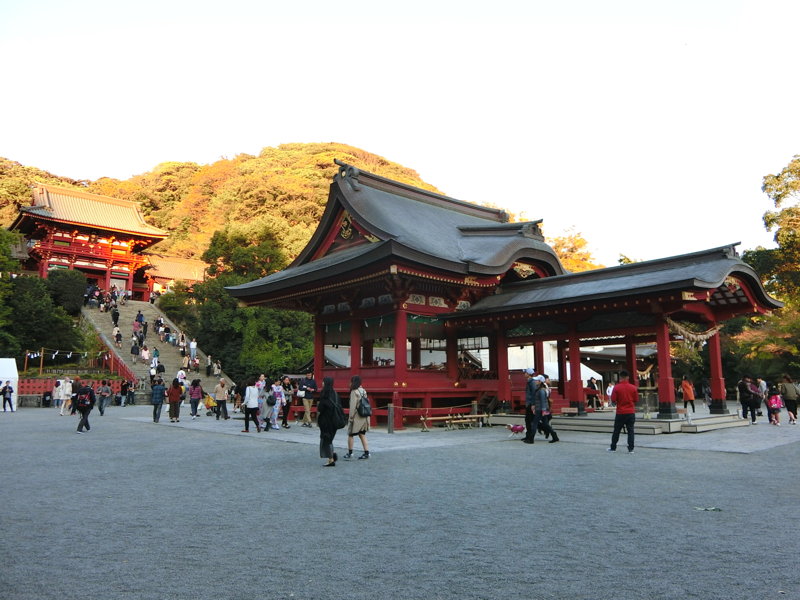 CIMG0599.JPG