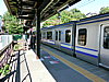 CIMG0439.JPG