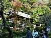 CIMG0477.JPG