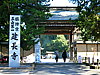 CIMG0537.JPG