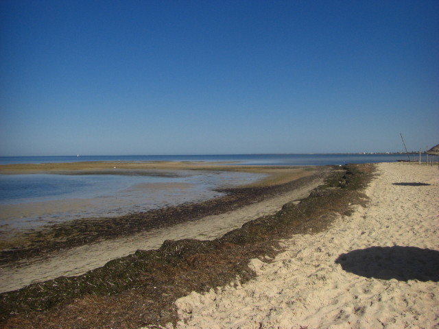 CIMG3215.JPG