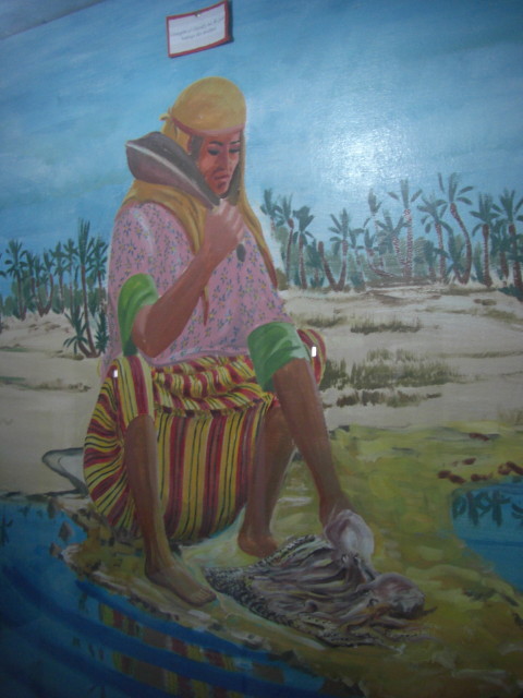 CIMG3356.JPG