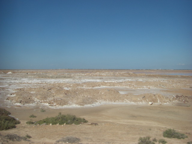 CIMG3373.JPG