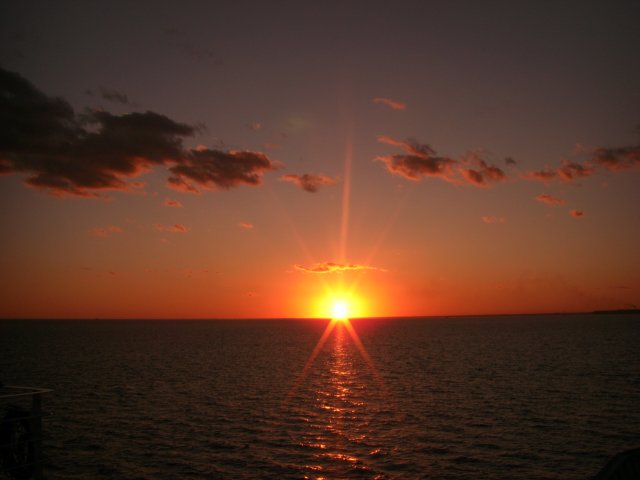 CIMG3397.jpg