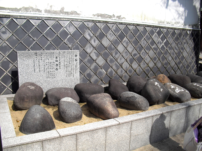 CIMG8734.JPG
