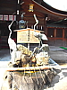 CIMG8733.JPG