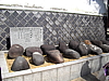 CIMG8734.JPG