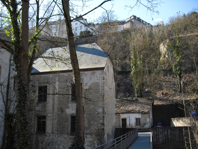 CIMG4160.jpg